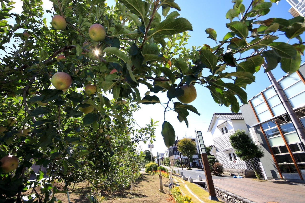 持続可能な地域であるために「自立型の経済圏」を構想