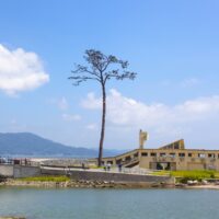 「被災地の日常」と「旅の非日常」が交差する被災地。災害復興を支える観光のあり方とは